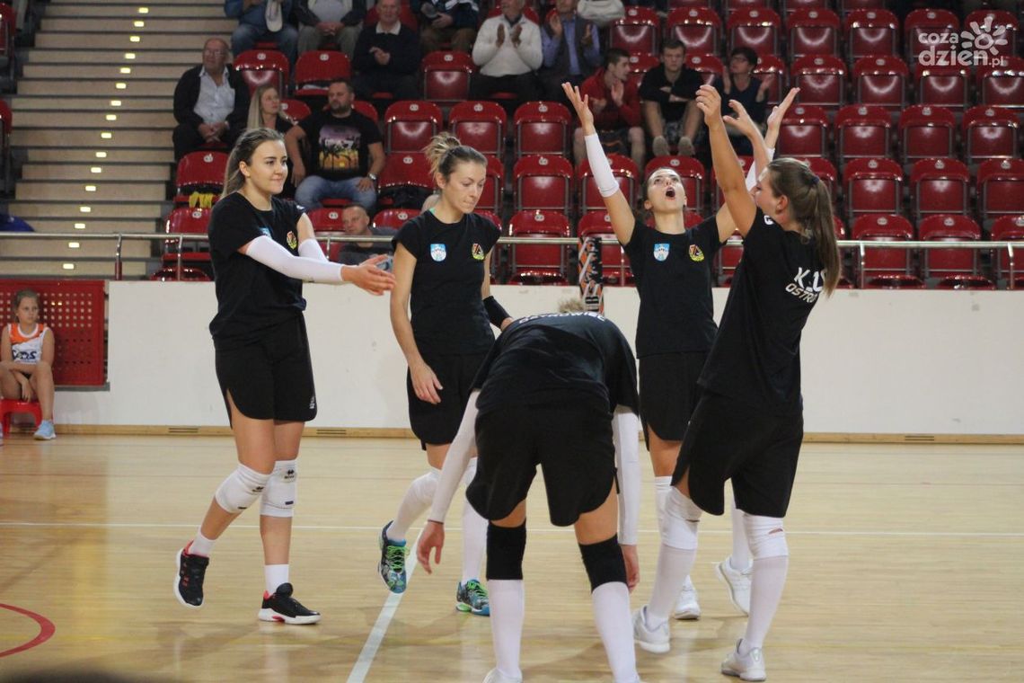 Ostrowiec Cup - przyjdź i dopinguj nasze siatkarki Ostrowiec Cup - przyjdź i dopinguj nasze siatkarki