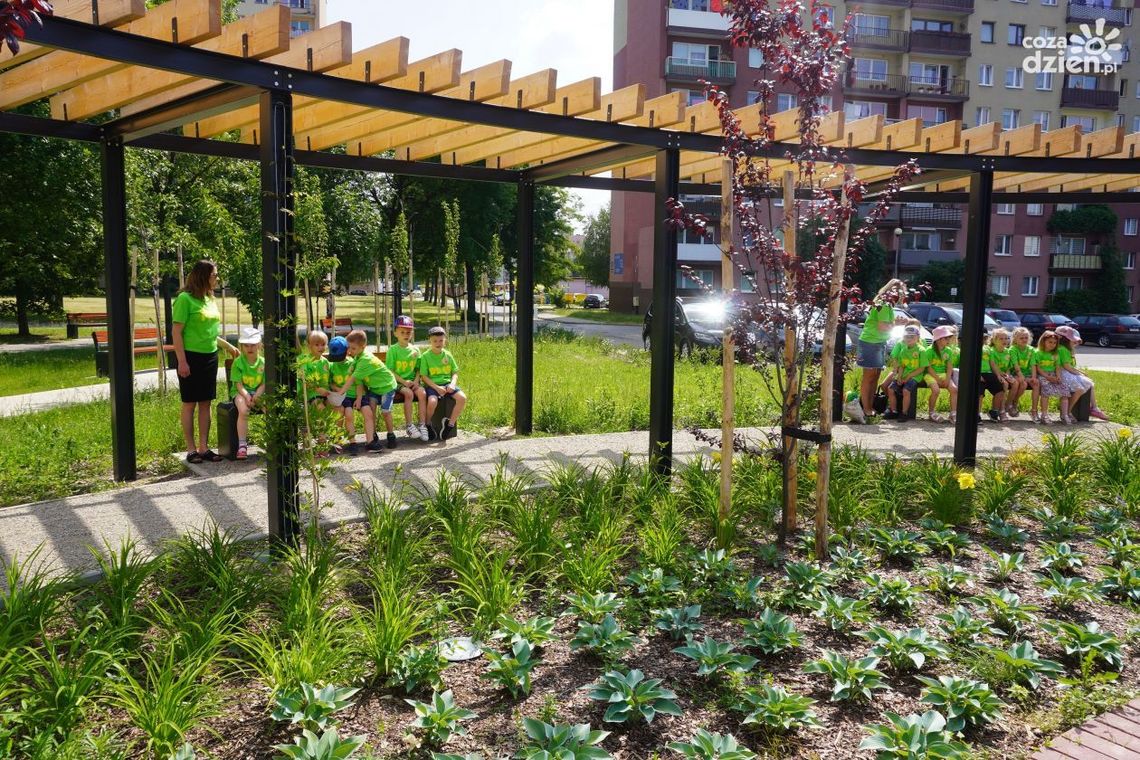 Ostrowiec stawia na parki kieszonkowe Ostrowiec stawia na parki kieszonkowe