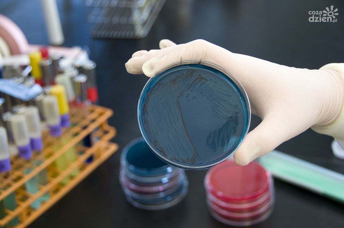 Ostrowiec Św. Obraduje sztab kryzysowy Ostrowiec Św. Obraduje sztab kryzysowy