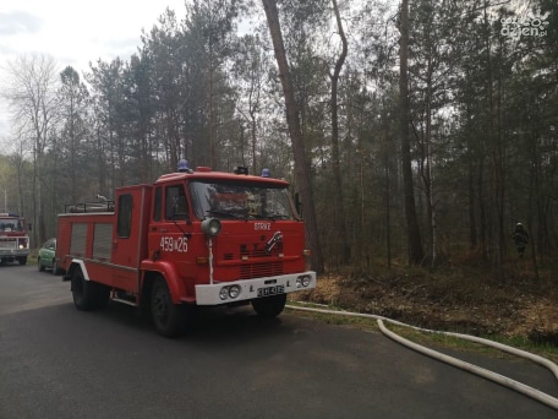 Ostrowiec Św. Plaga pożarów