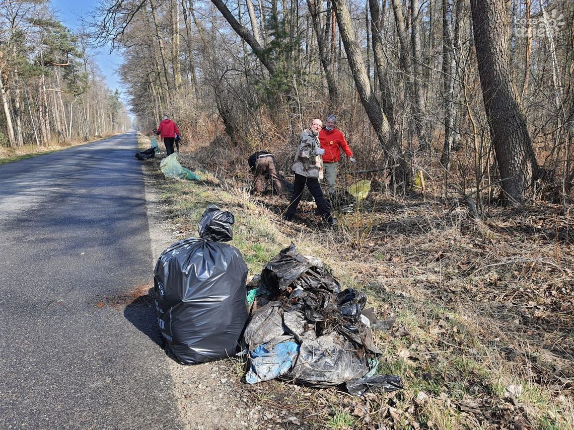 Ostrowieccy aktywiści będą sprzątać las Ostrowieccy aktywiści będą sprzątać las