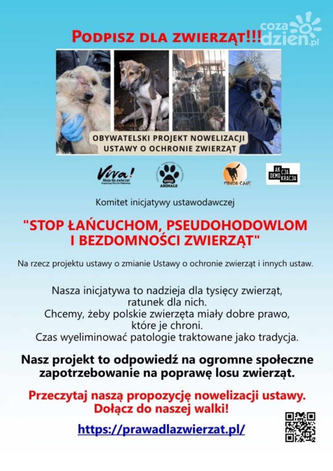 Ostrowieccy Animalsi też mówią "Stop łańcuchom, pseudohodowlom i bezdomności zwierząt" Ostrowieccy Animalsi też mówią "Stop łańcuchom, pseudohodowlom i bezdomności zwierząt"