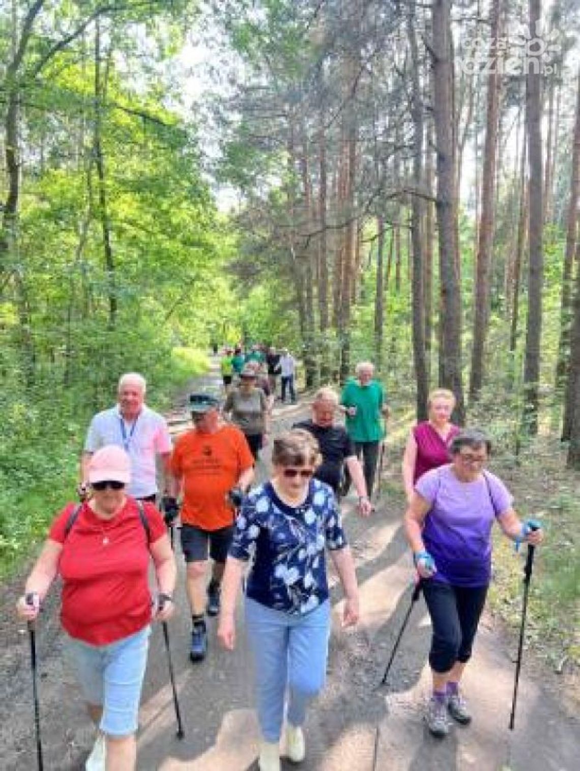 Ostrowieccy Gladiatorzy marszem promowali zdrowy styl życia