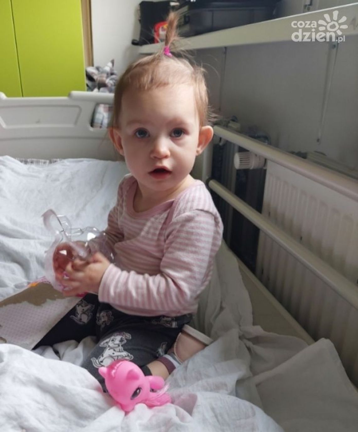 Ostrowiecka PO zachęca do pomocy chorej ostrowczance Ostrowiecka PO zachęca do pomocy chorej ostrowczance