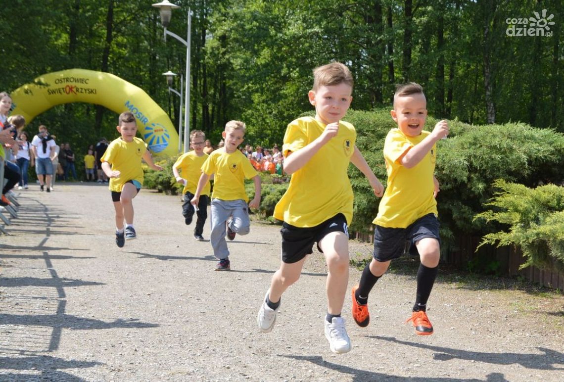 Ostrowiecki Bieg Wiosny zgromadził tłumy