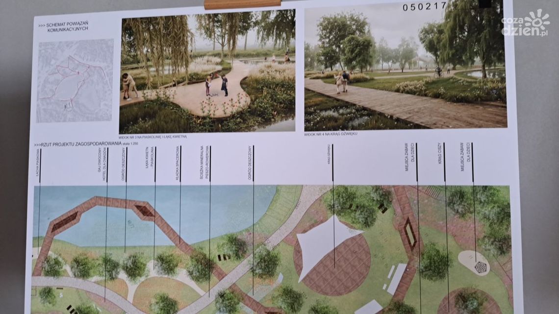 Ostrowiecki park miejski wypięknieje Ostrowiecki park miejski wypięknieje