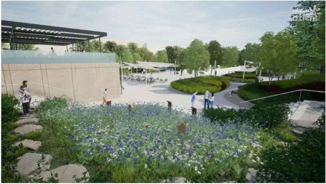 Ostrowiecki Rynek bardziej zielony i przyjazny dla natury Ostrowiecki Rynek bardziej zielony i przyjazny dla natury