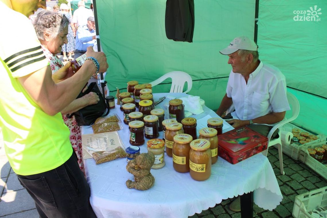Ostrowiecki Rynek miodem płynący Ostrowiecki Rynek miodem płynący