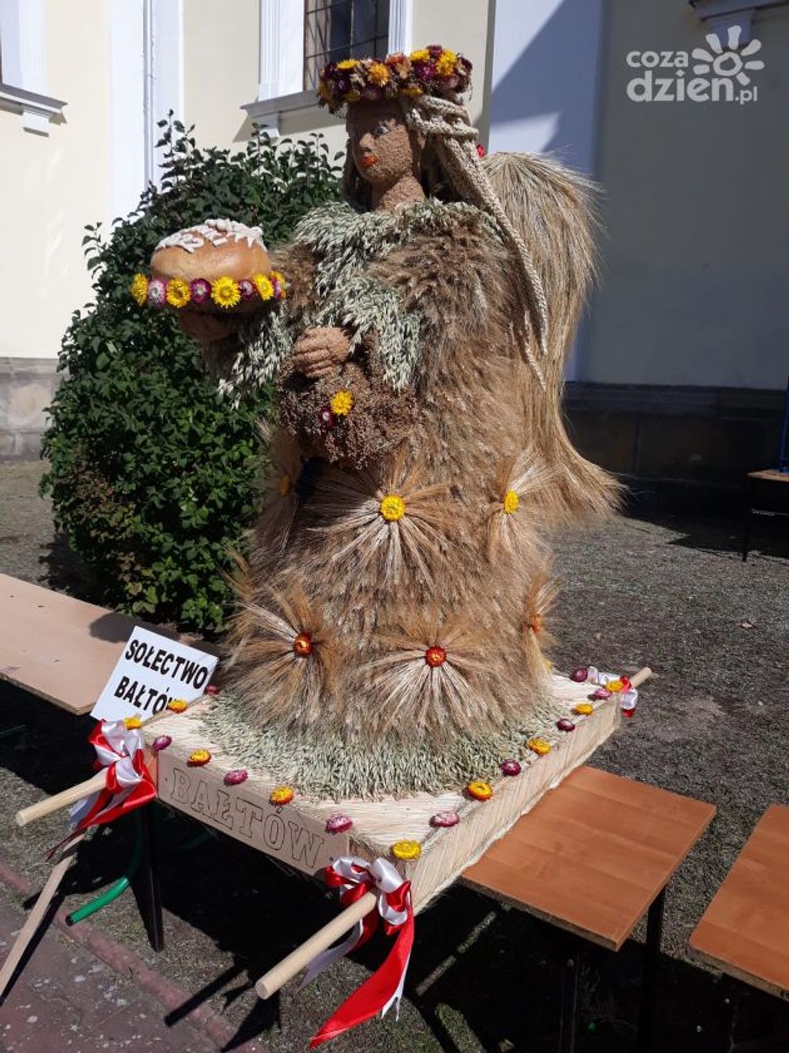 Ostrowiecki wieniec dożynkowy w kształcie anioła Ostrowiecki wieniec dożynkowy w kształcie anioła