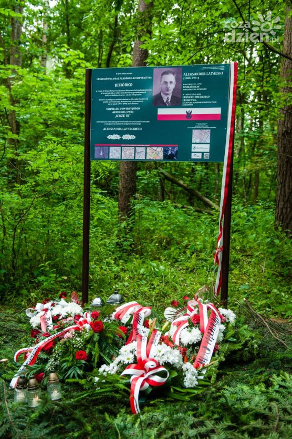 Ostrowiecki Zlot partyzancki w Jeziórku żywą lekcja historii Ostrowiecki Zlot partyzancki w Jeziórku żywą lekcja historii