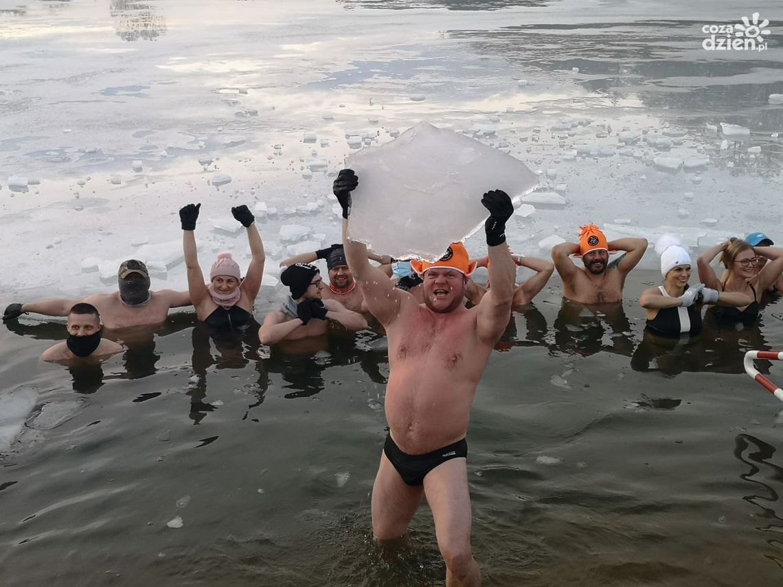 Ostrowieckie morsy i foczki wracają do swojego naturalnego środowiska Ostrowieckie morsy i foczki wracają do swojego naturalnego środowiska