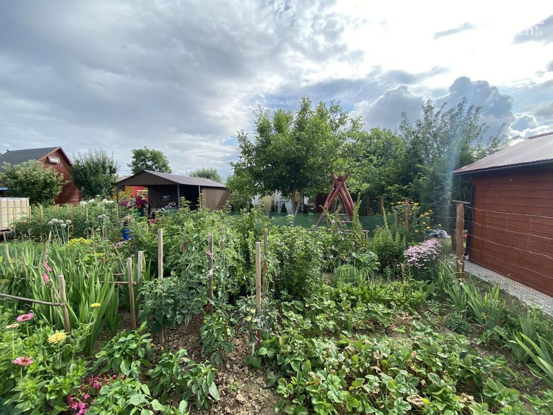 Ostrowieckie ogrody działkowe otrzymają dofinansowanie Ostrowieckie ogrody działkowe otrzymają dofinansowanie