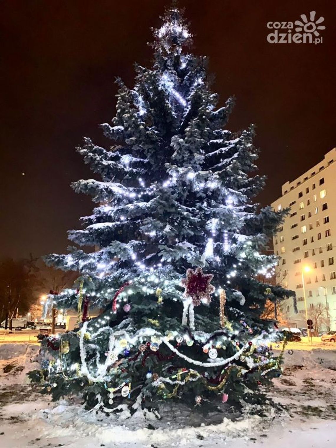 Ostrowieckie osiedle Ogrody przygotowują się do świąt 