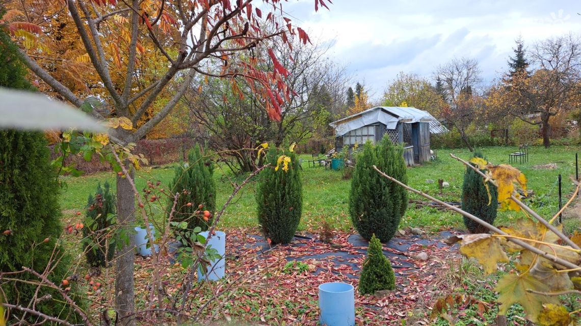 Ostrowieckie ROD z większą dotacją z budżetu miasta Ostrowieckie ROD z większą dotacją z budżetu miasta