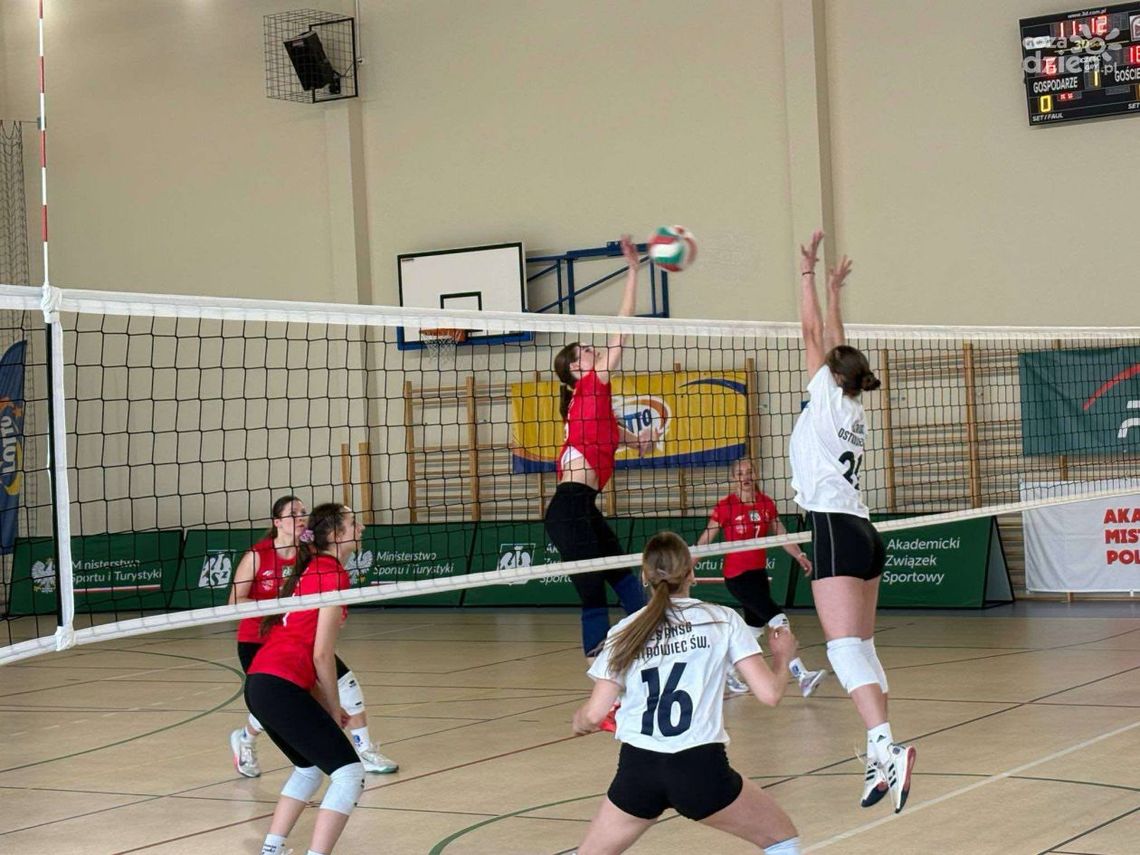 Ostrowieckie siatkarki z sukcesem w Akademickich Mistrzostwach Polski