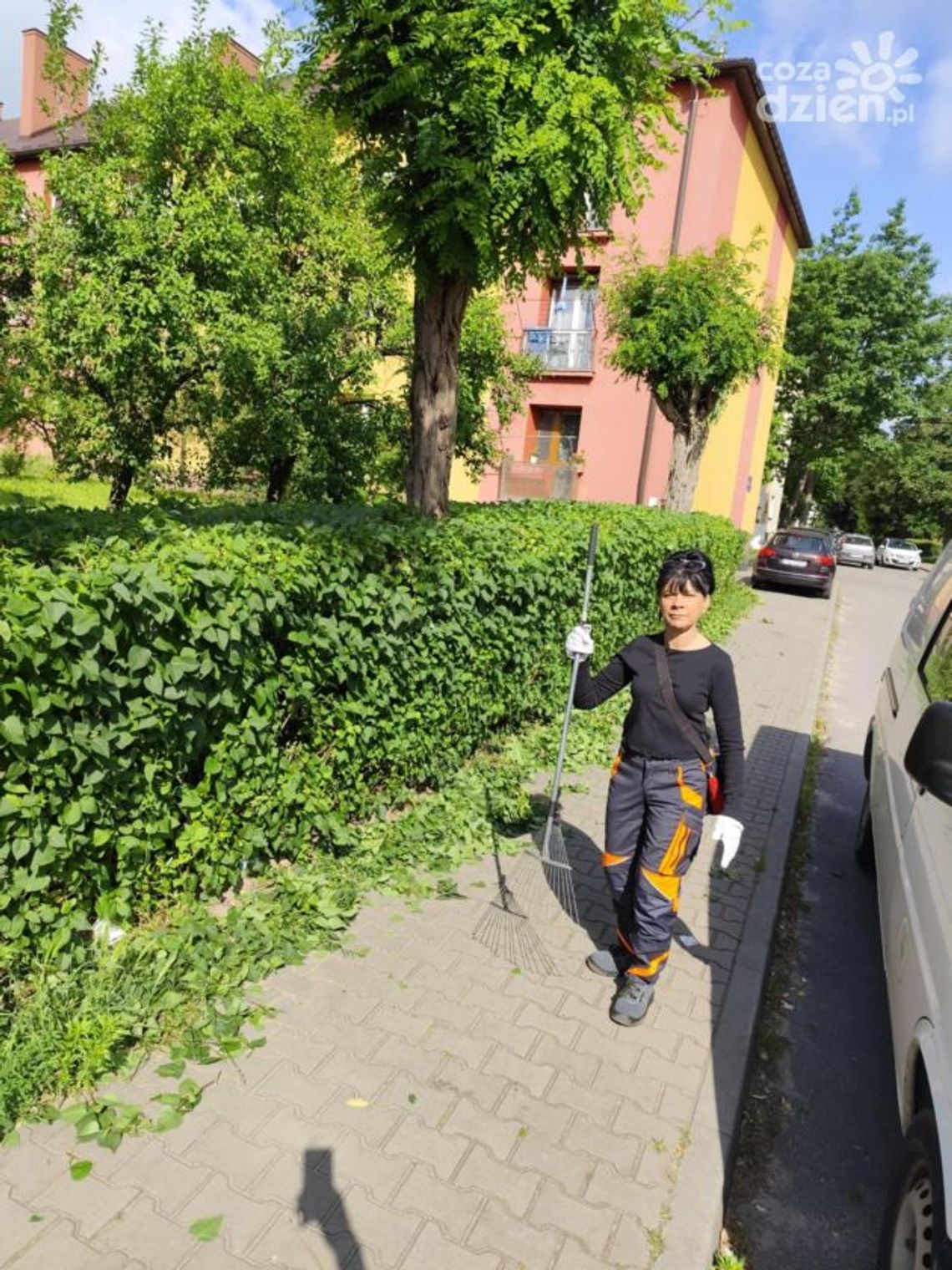 Ostrowieckie spółdzielnie socjalne otwarte na zlecenia nie tylko od samorządów Ostrowieckie spółdzielnie socjalne otwarte na zlecenia nie tylko od samorządów