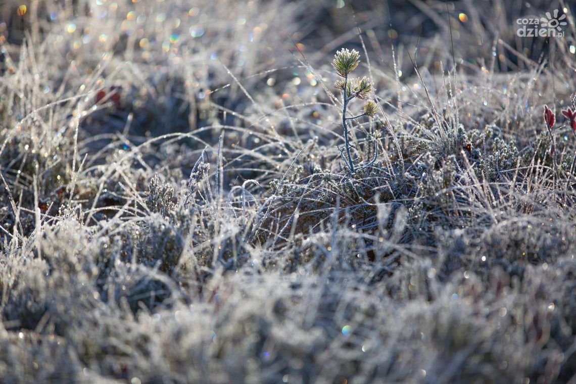 Ostrzeżenie IMGW przed silnym mrozem