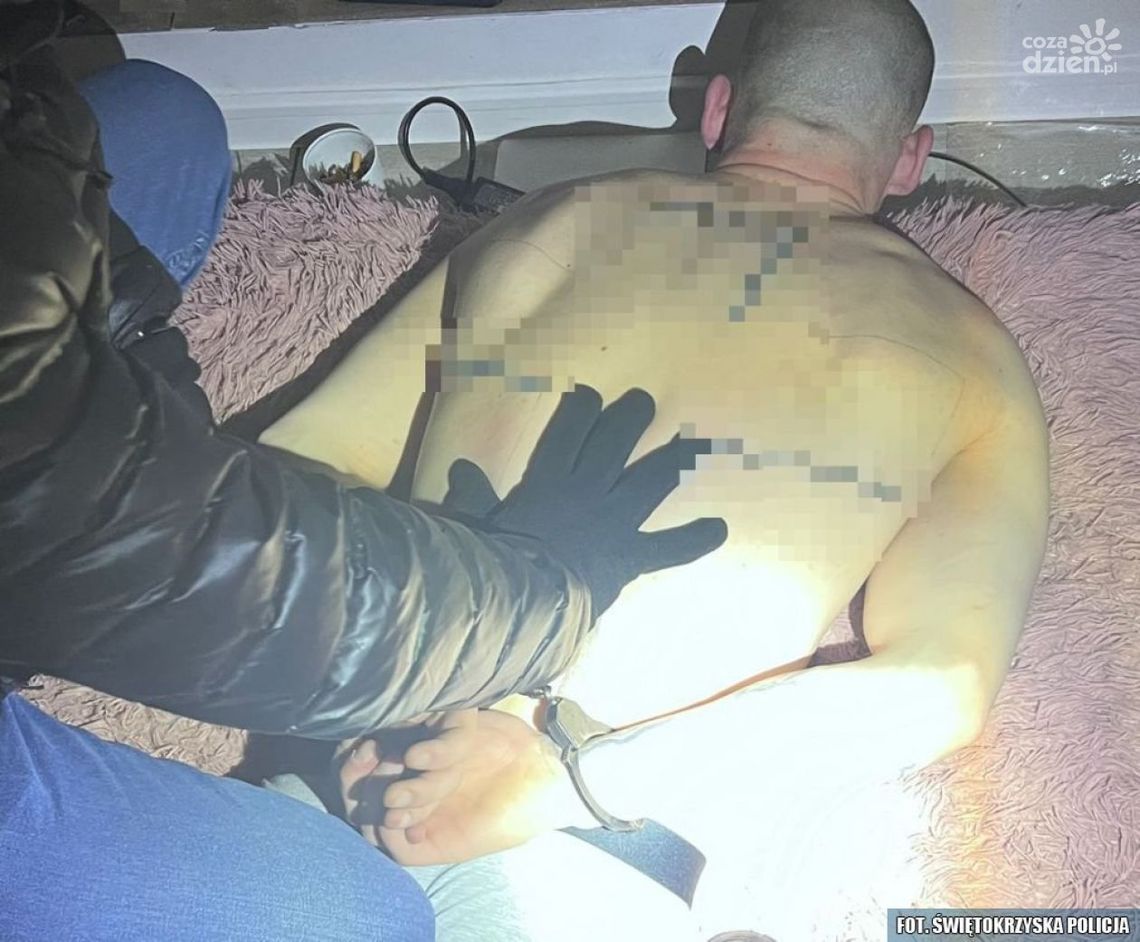 Oszukiwali metodą na prokuratora. Grupa młodych przestępców zatrzymana Oszukiwali metodą na prokuratora. Grupa młodych przestępców zatrzymana