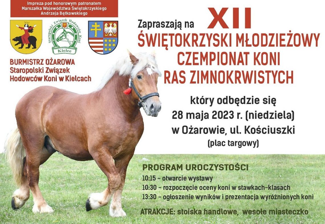 Ożarowski championat koni zimnokrwistych Ożarowski championat koni zimnokrwistych