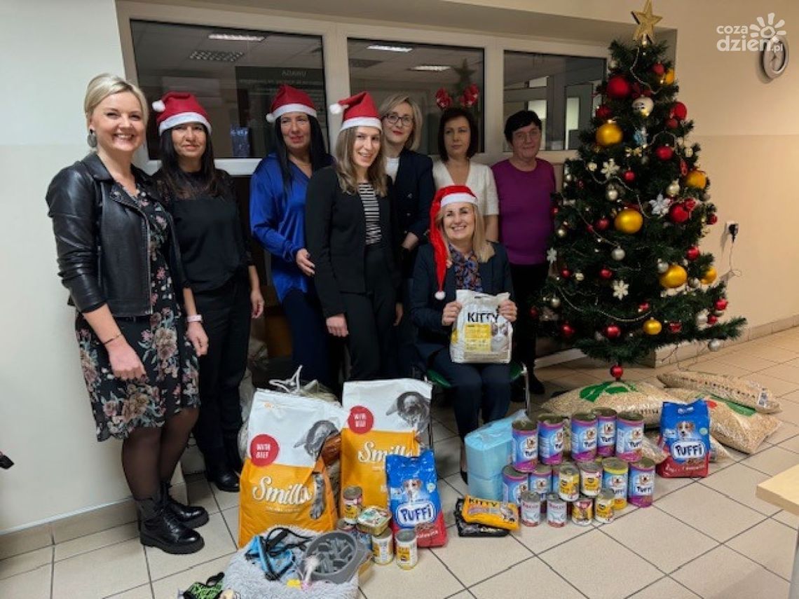 „Paczka dla zwierzaczka” – druga edycja zakończona sukcesem!