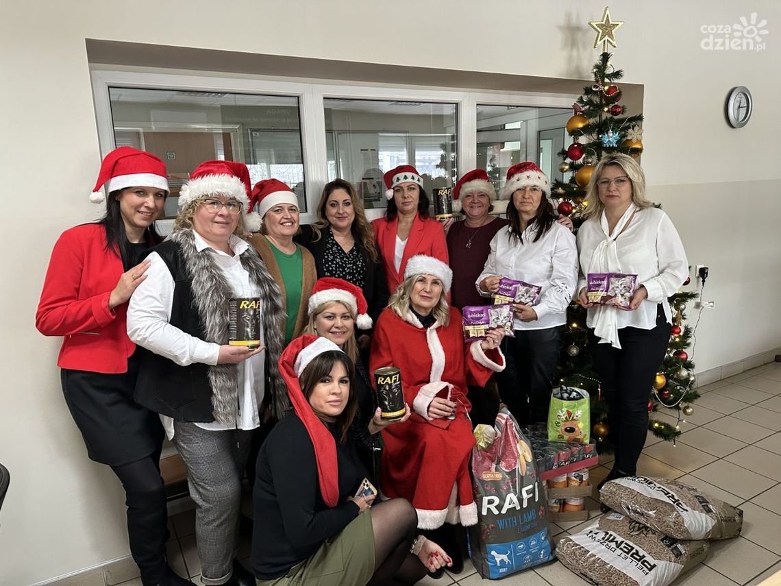 Paczka dla zwierzaczka od pracowników ostrowieckiego urzędu pracy 