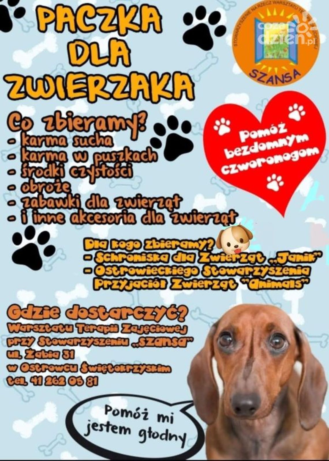 „Paczka dla Zwierzaka” - pomoc dla bezdomnych zwierząt w czasie mrozów „Paczka dla Zwierzaka” - pomoc dla bezdomnych zwierząt w czasie mrozów