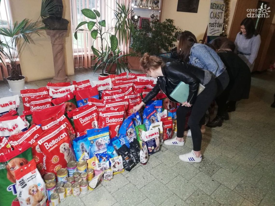 Padł rekord zbiórki karmy w "Staszicu" Padł rekord zbiórki karmy w "Staszicu"