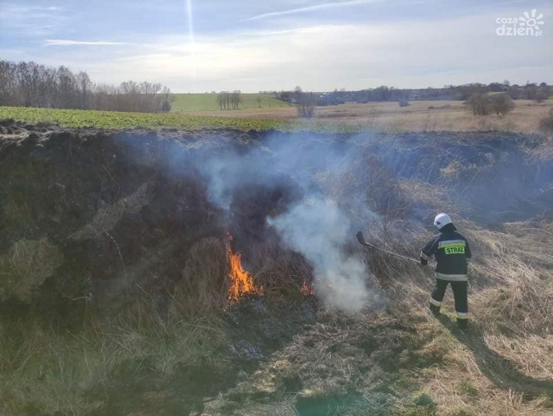 Palą się trawy w regionie. Aż 162 interwencje w weekend Palą się trawy w regionie. Aż 162 interwencje w weekend