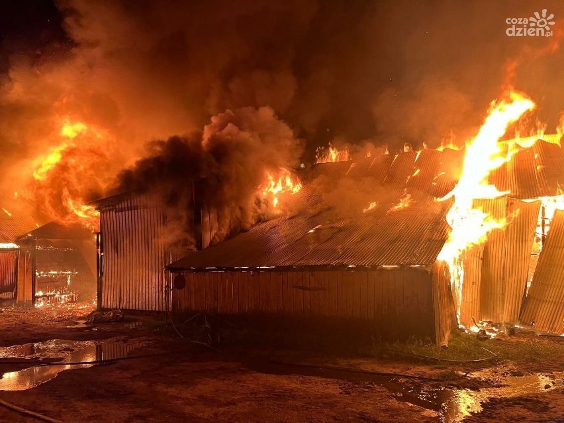 Paliło się gospodarstwo. Ranny właściciel