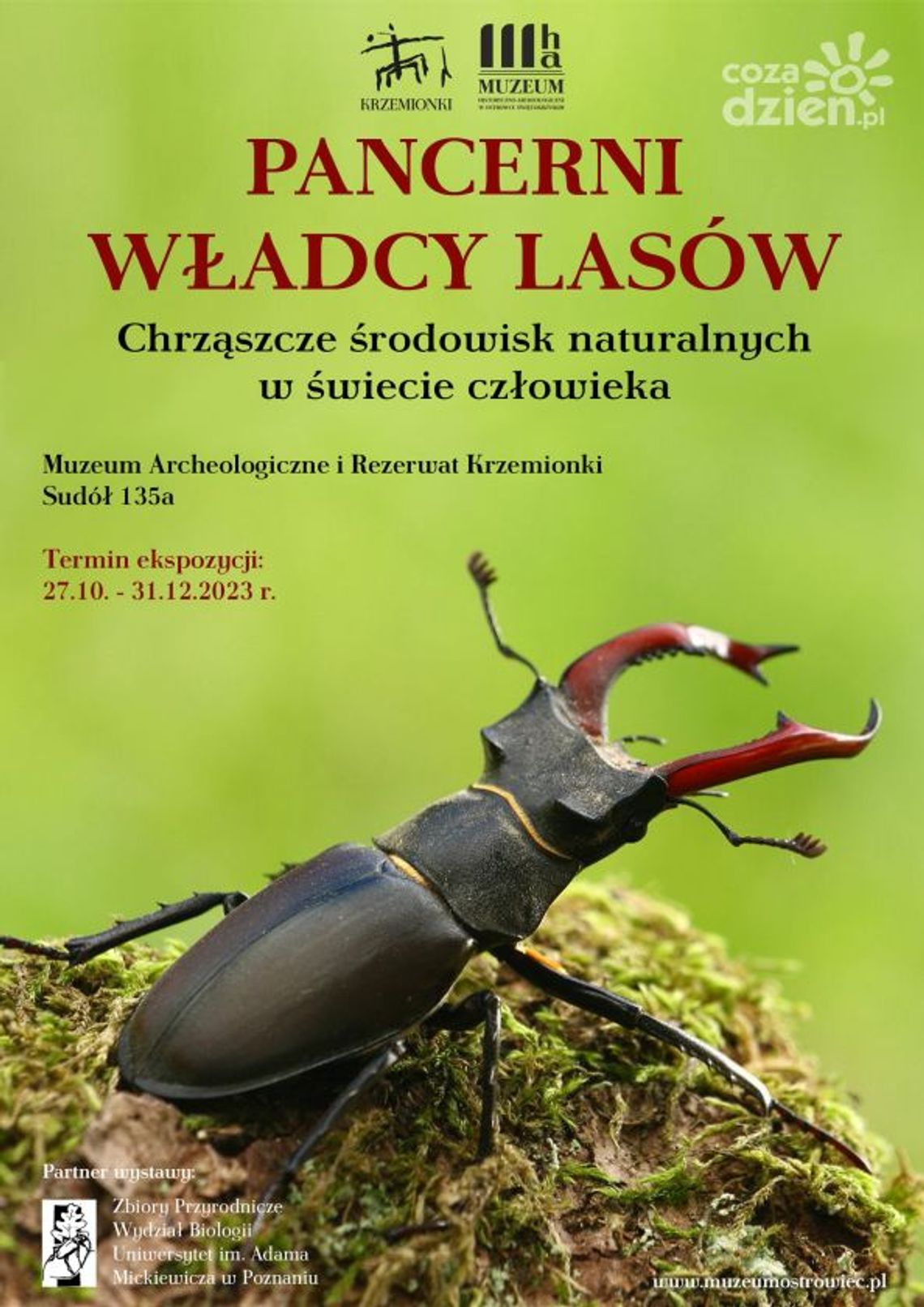 Pancerni władcy lasów - wystawa w muzeum w Krzemionkach Pancerni władcy lasów - wystawa w muzeum w Krzemionkach