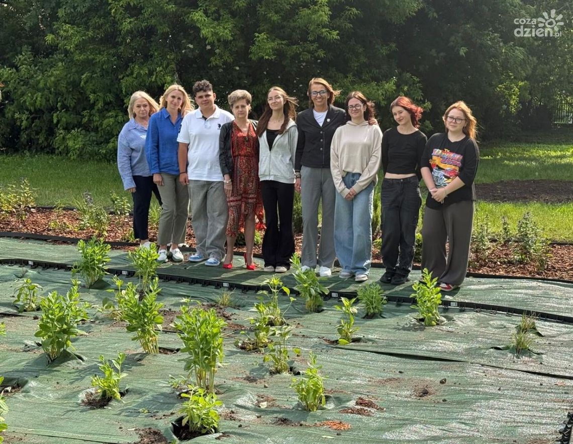 Park kieszonkowy tworzy społeczność ostrowieckiego liceum 