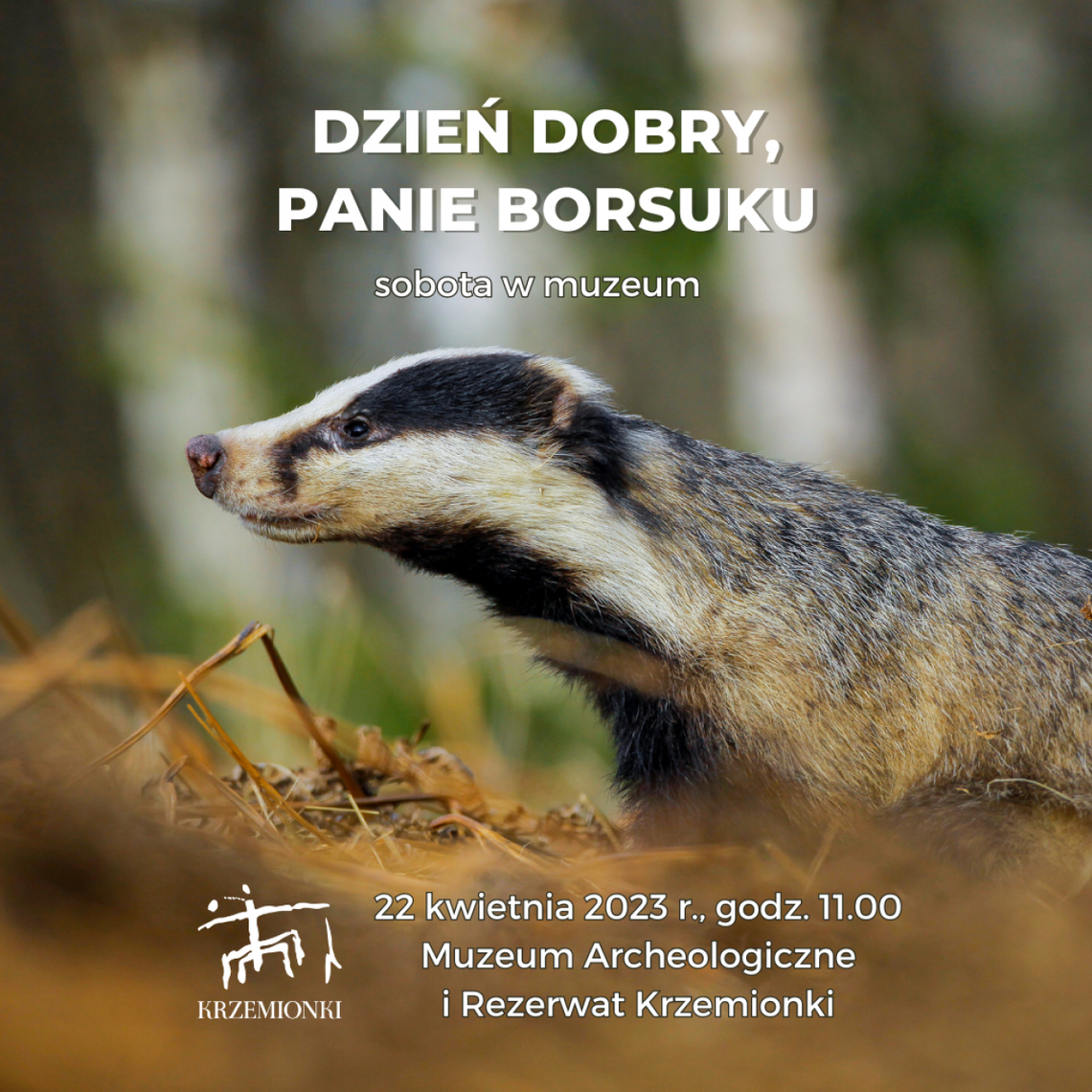 Pasiaste zwierzęta bohaterami sobotnich spotkań w muzeum
Pasiaste zwierzęta bohaterami sobotnich spotkań w muzeum