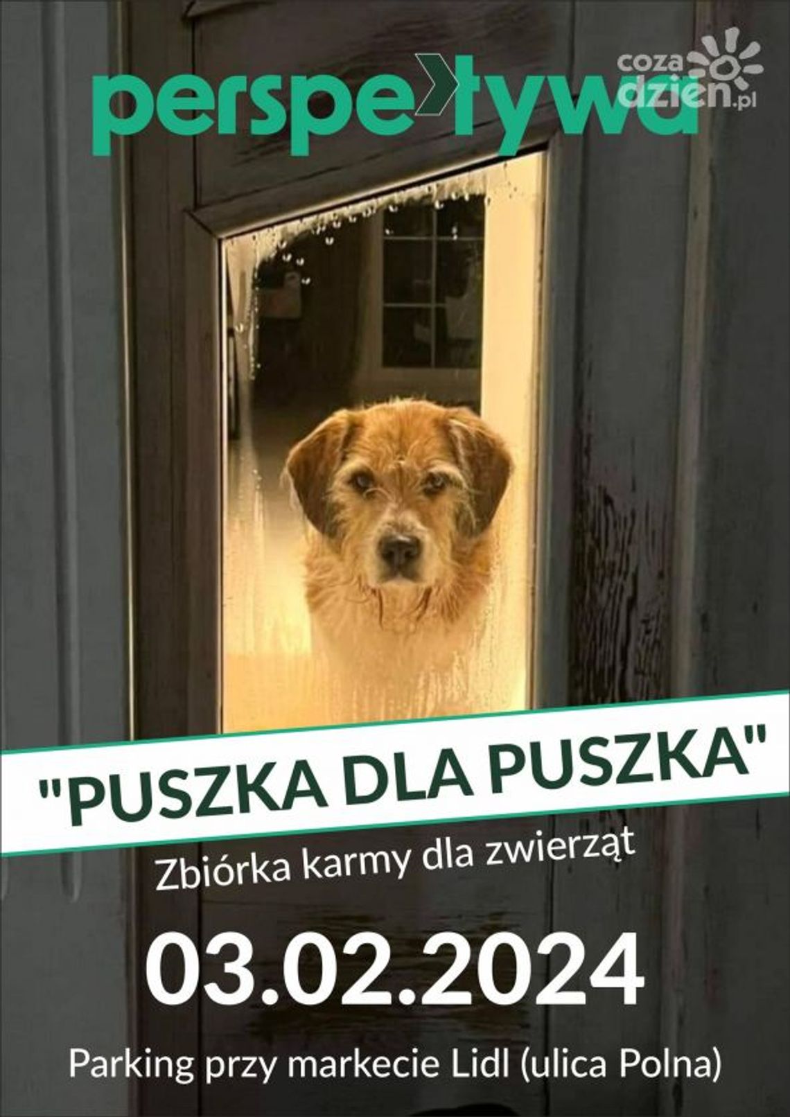 Perspektywa zagra dla zwierząt. Dołączyć i pomóc może każdy Perspektywa zagra dla zwierząt. Dołączyć i pomóc może każdy