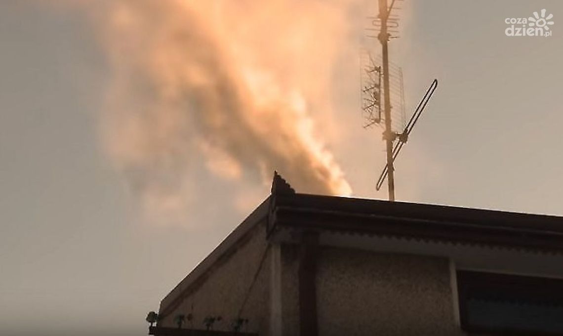 Piec to nie śmietnik. Straż Miejska rozpoczęła ekointerwencje Piec to nie śmietnik. Straż Miejska rozpoczęła ekointerwencje