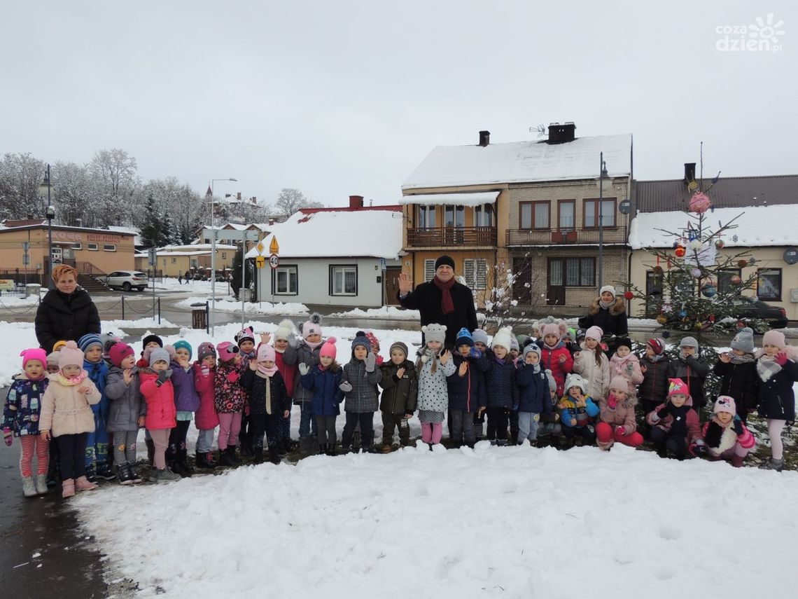 Piękne drzewka na kunowskim Rynku Piękne drzewka na kunowskim Rynku
