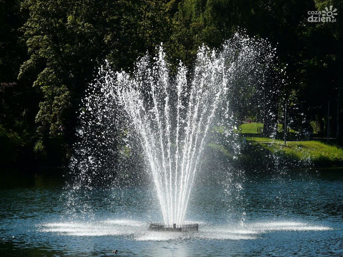 Piękno, które może zabijać Piękno, które może zabijać