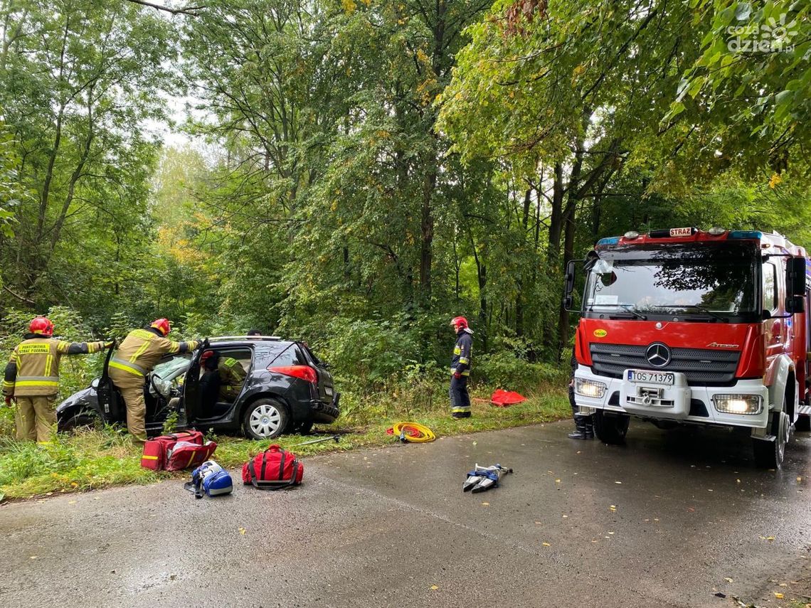 Pijany kierowca staranował ogrodzenie i kilkakrotnie złamał prawo Pijany kierowca staranował ogrodzenie i kilkakrotnie złamał prawo
