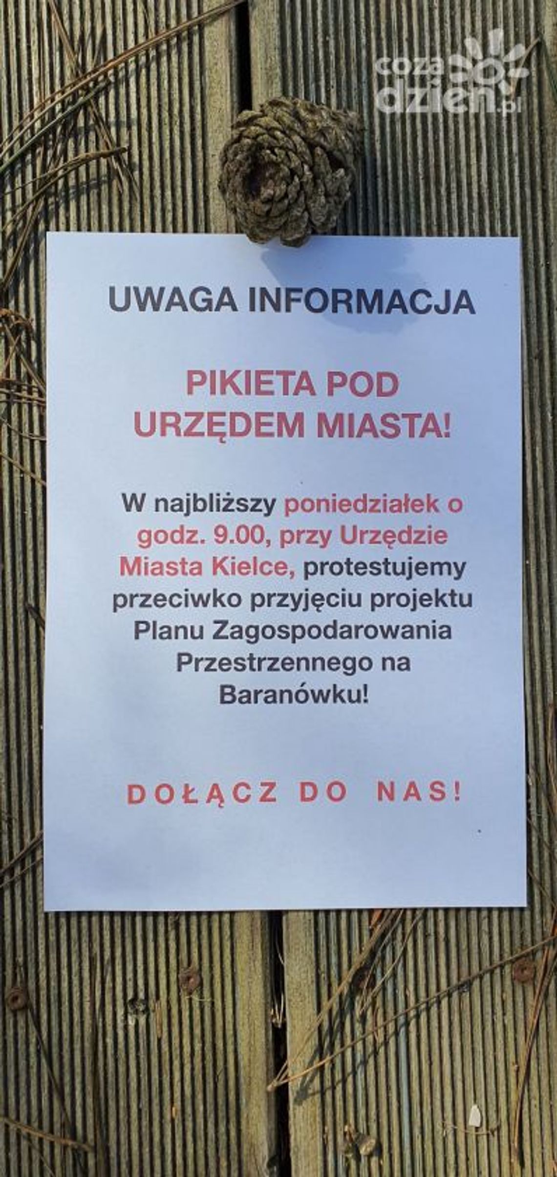 Pikieta przed Urzędem Miasta w Kielcach wpłynęła na decyzję prezydenta Bogdana Wenty Pikieta przed Urzędem Miasta w Kielcach wpłynęła na decyzję prezydenta Bogdana Wenty