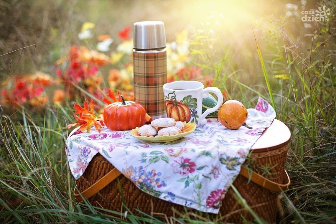 Piknik ekologiczny w Kuzkach Piknik ekologiczny w Kuzkach