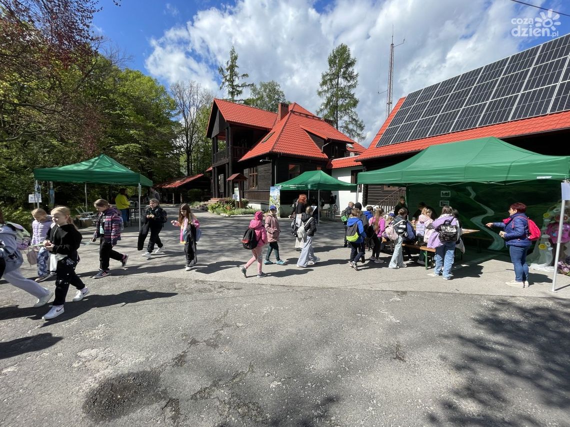 Piknik z okazji Dnia Ziemi Piknik z okazji Dnia Ziemi
