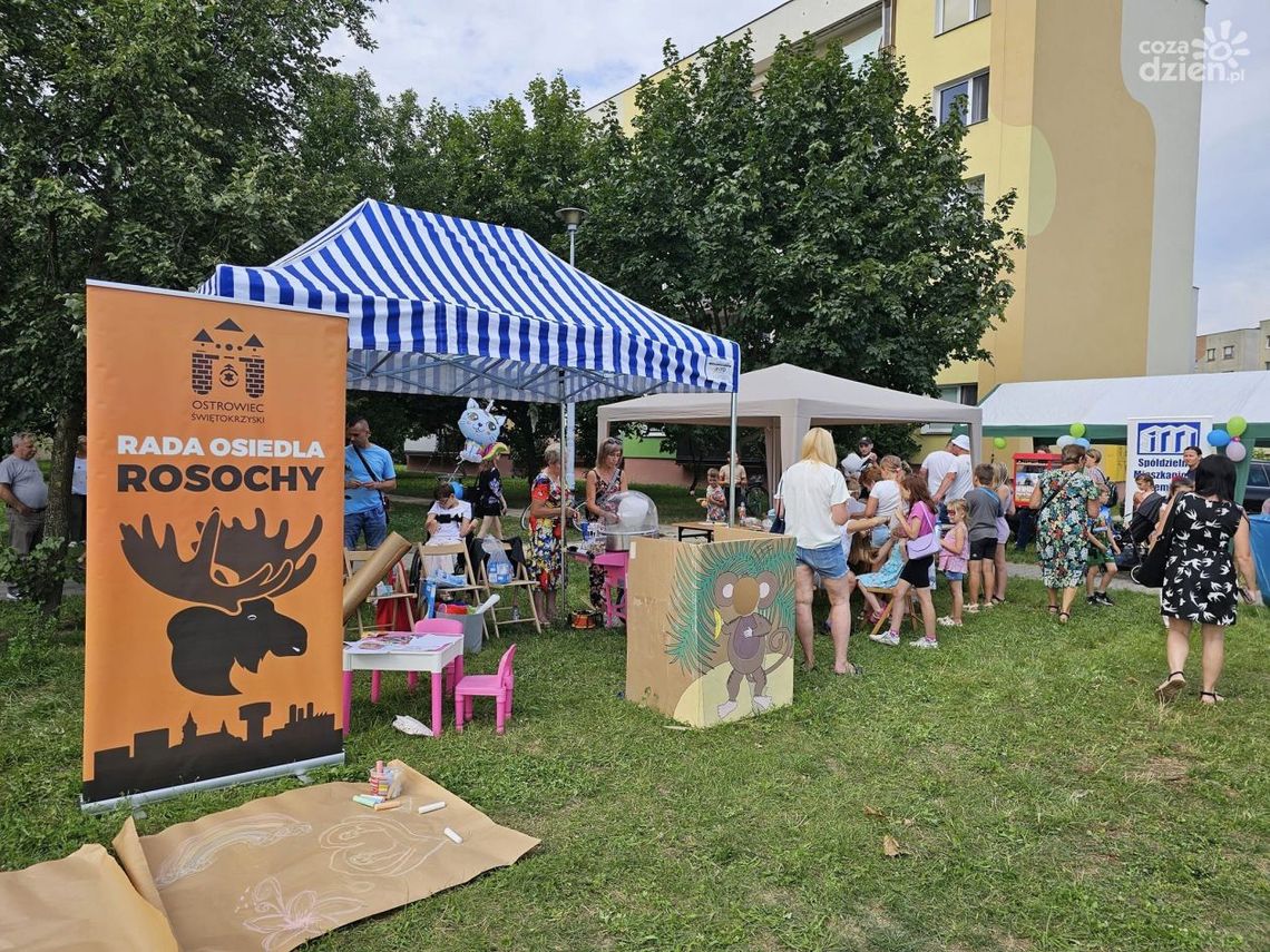 Piknikowe zakończenie lata w osiedlu Rosochy w Ostrowcu Piknikowe zakończenie lata w osiedlu Rosochy w Ostrowcu