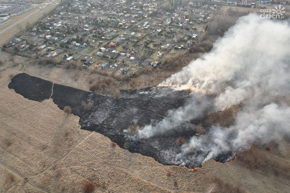 Plaga pożarów traw i nieużytków w powiecie ostrowieckim Plaga pożarów traw i nieużytków w powiecie ostrowieckim