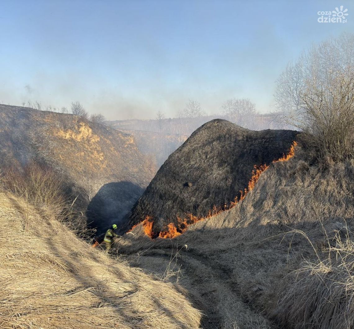 Płoną trawy i nieużytki w powiecie ostrowieckim Płoną trawy i nieużytki w powiecie ostrowieckim