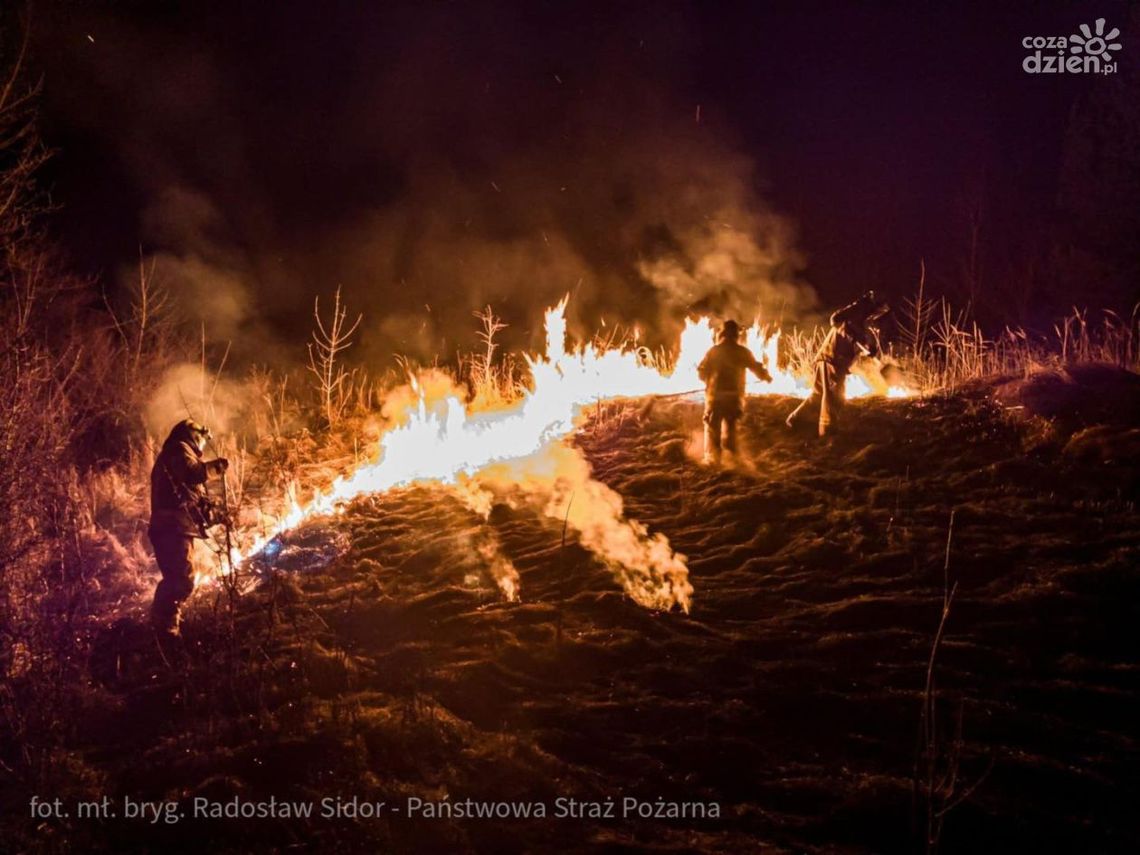 Płoną trawy, płoną żywe stworzenia Płoną trawy, płoną żywe stworzenia