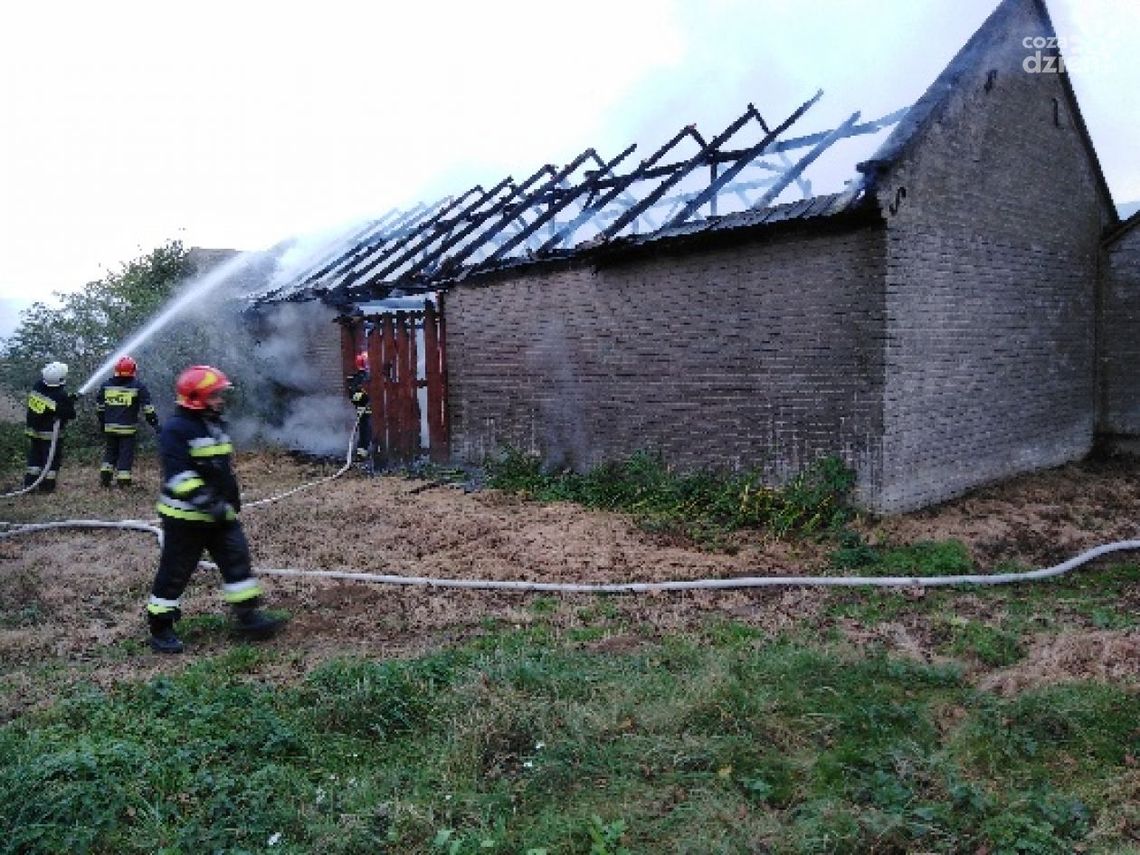 Płonął budynek gospodarczy w Buszkowicach Płonął budynek gospodarczy w Buszkowicach