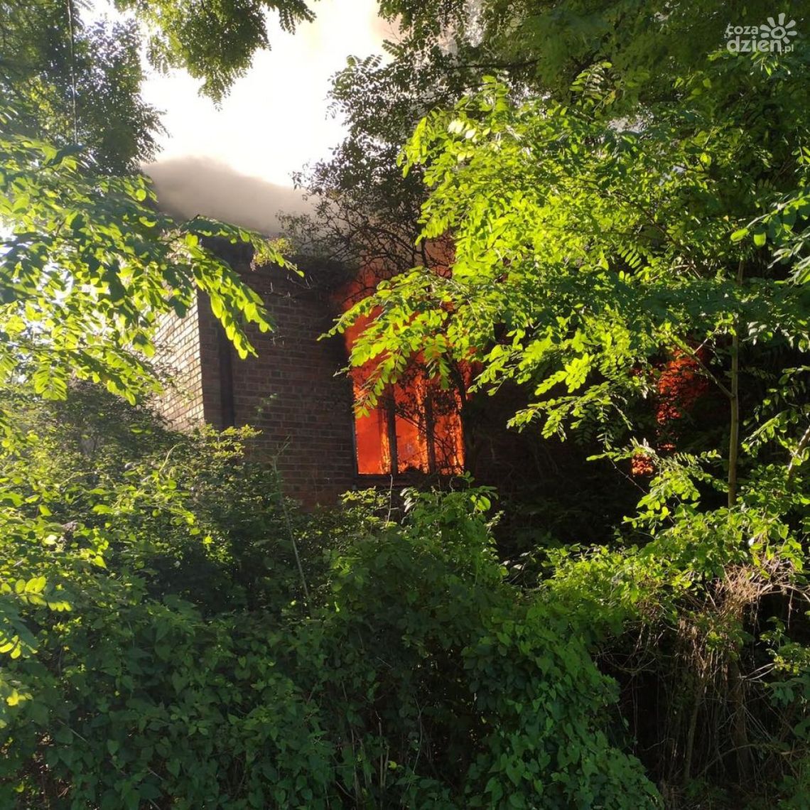 Płonął pustostan w Podgrodziu Płonął pustostan w Podgrodziu