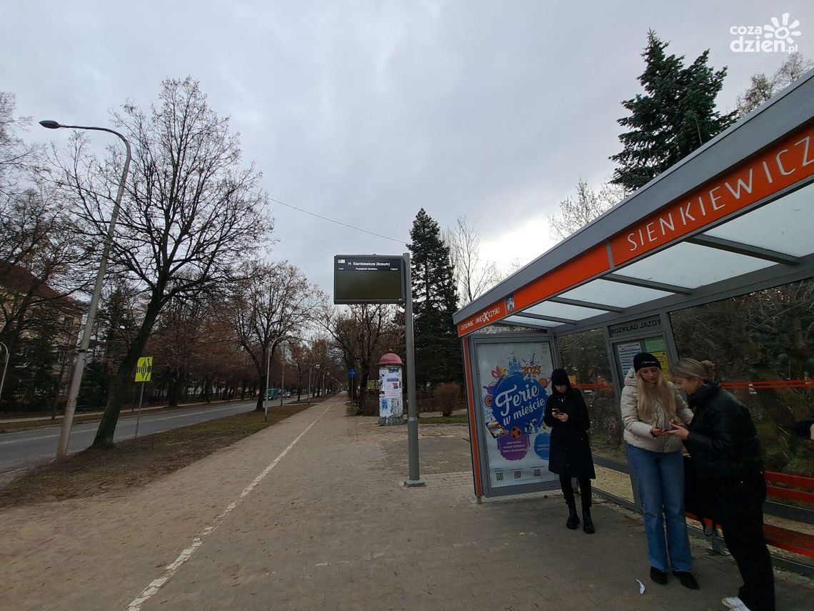 Po ul. Sienkiewicza znów jeżdżą autobusy MZK