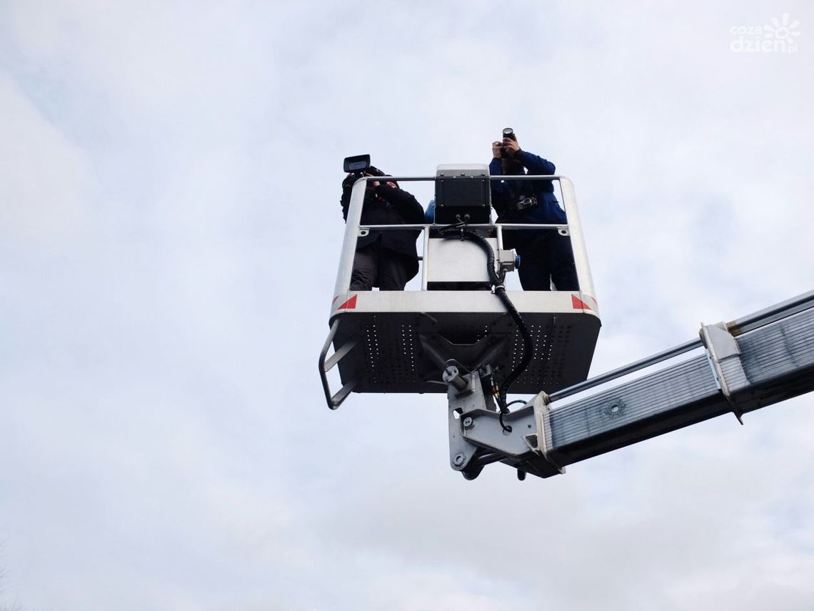 Podnośnik koszowy: dlaczego warto rozważyć wynajem zamiast zakupu nawet przy częstym użytkowaniu? Podnośnik koszowy: dlaczego warto rozważyć wynajem zamiast zakupu nawet przy częstym użytkowaniu?