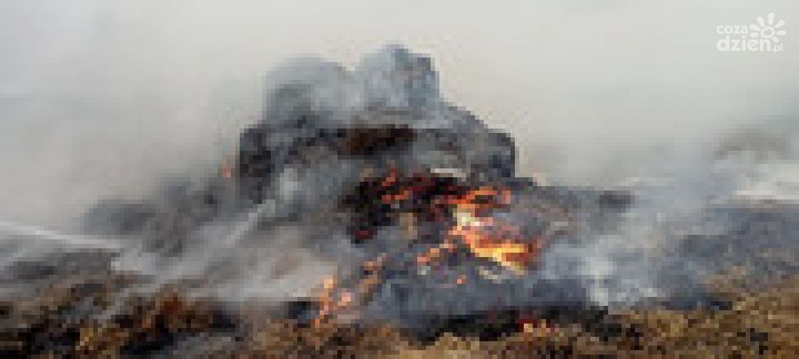 Podpalacze słomy złapani 