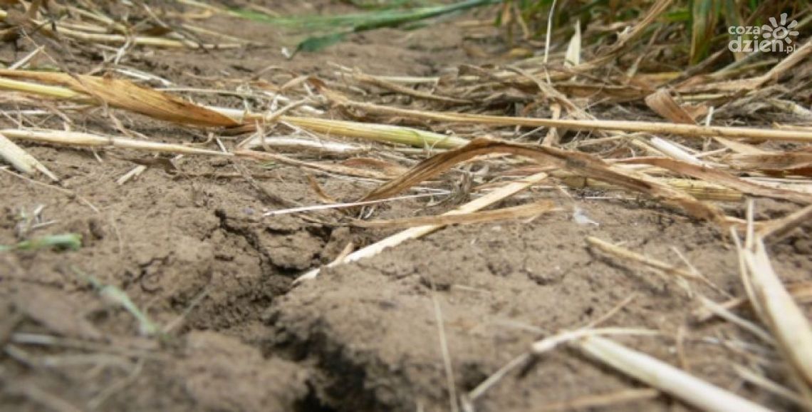 Podsumowanie prac komisji ds. usuwania skutków klęsk żywiołowych Podsumowanie prac komisji ds. usuwania skutków klęsk żywiołowych